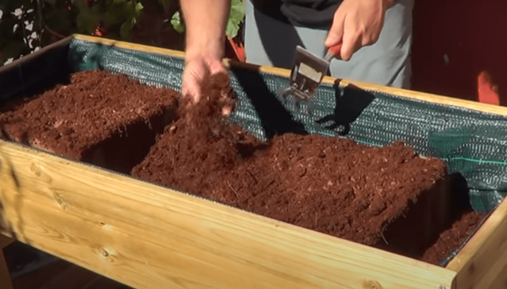 C Mo Preparar Una Cama De Cultivo De Forma Pr Ctica Y Simple Para La