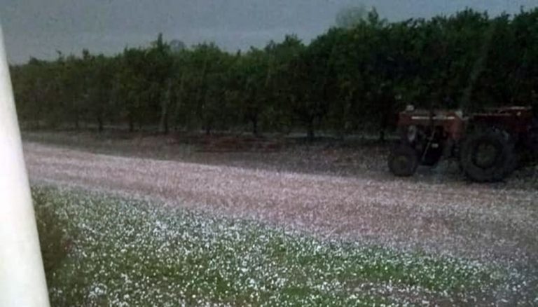 No Solo Sequía Nación Homologó La Emergencia De Otras Dos Provincias Por Granizo Y Heladas 2852