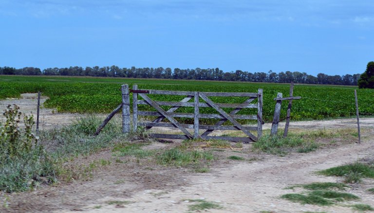 Tranquera Inmobiliario Rural Infocampo