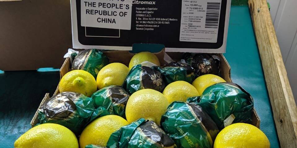 Exportación - Limones - China