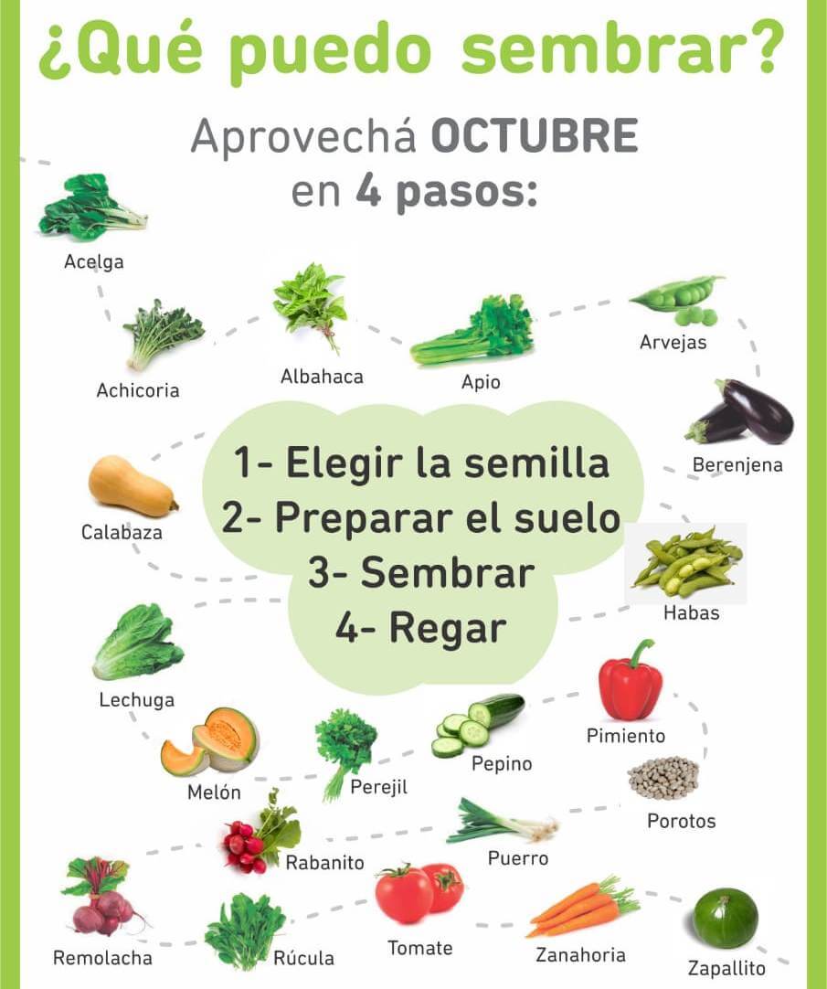 Huerta En Casa ¿qué Cultivos Se Pueden Sembrar En Octubre 8946