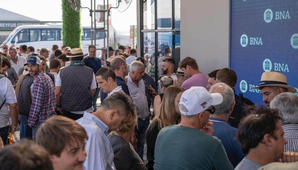 Créditos para los productores: el Gobierno aseguró que se cuadruplicaron las operaciones en Expoagro