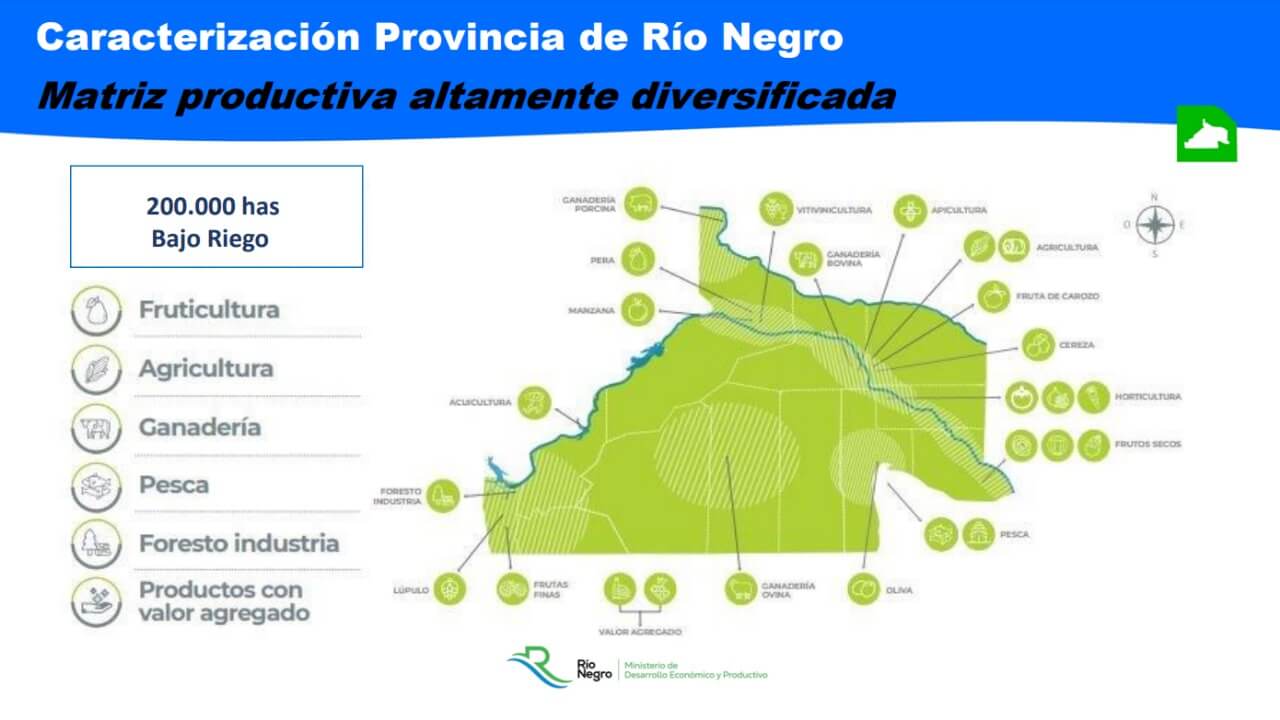 Rio negro 1