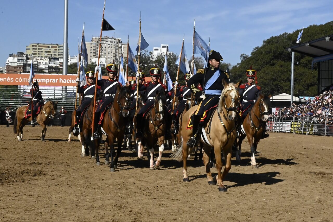 regimiento caballos criollos