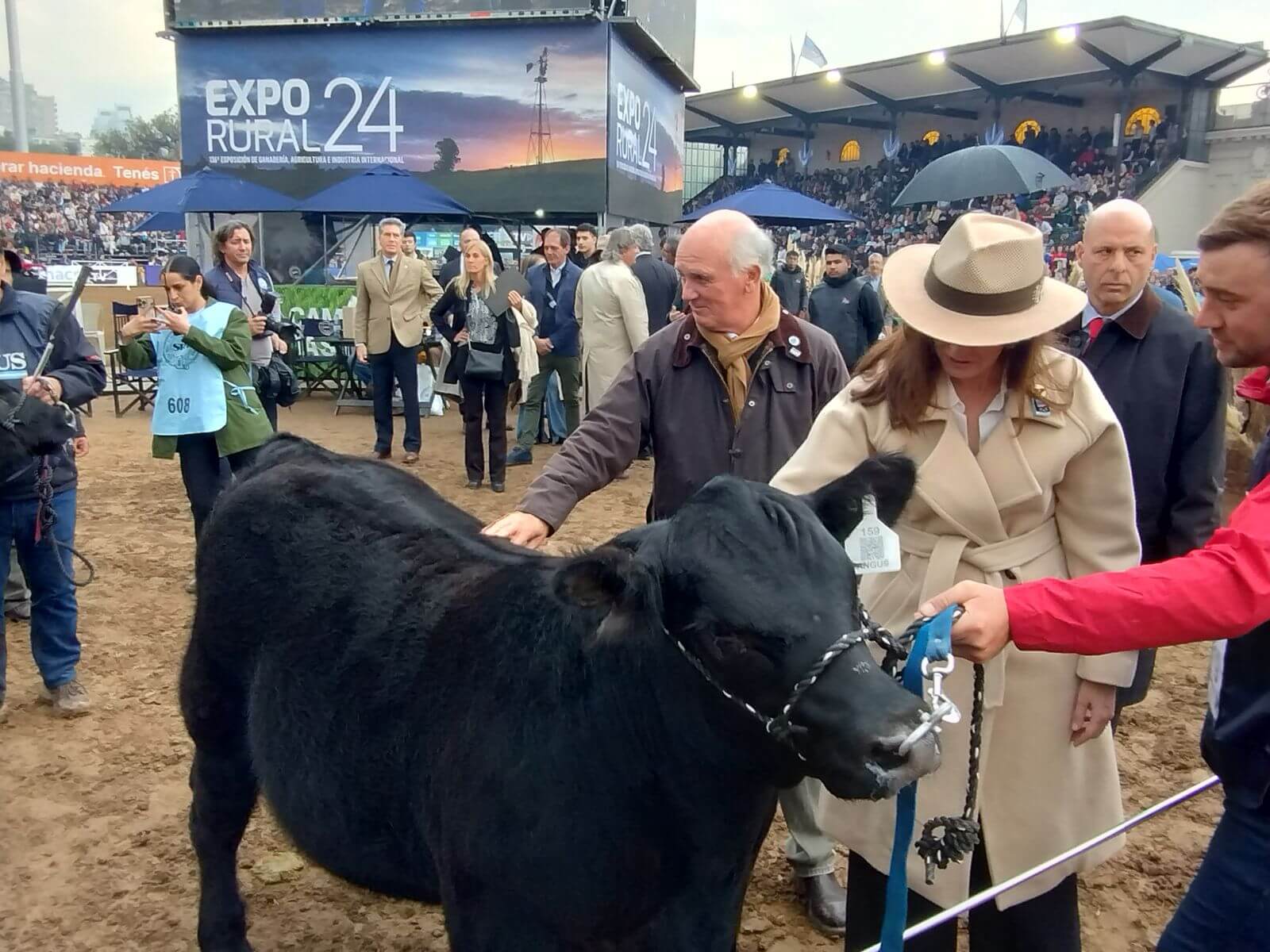 villarruel jura angus