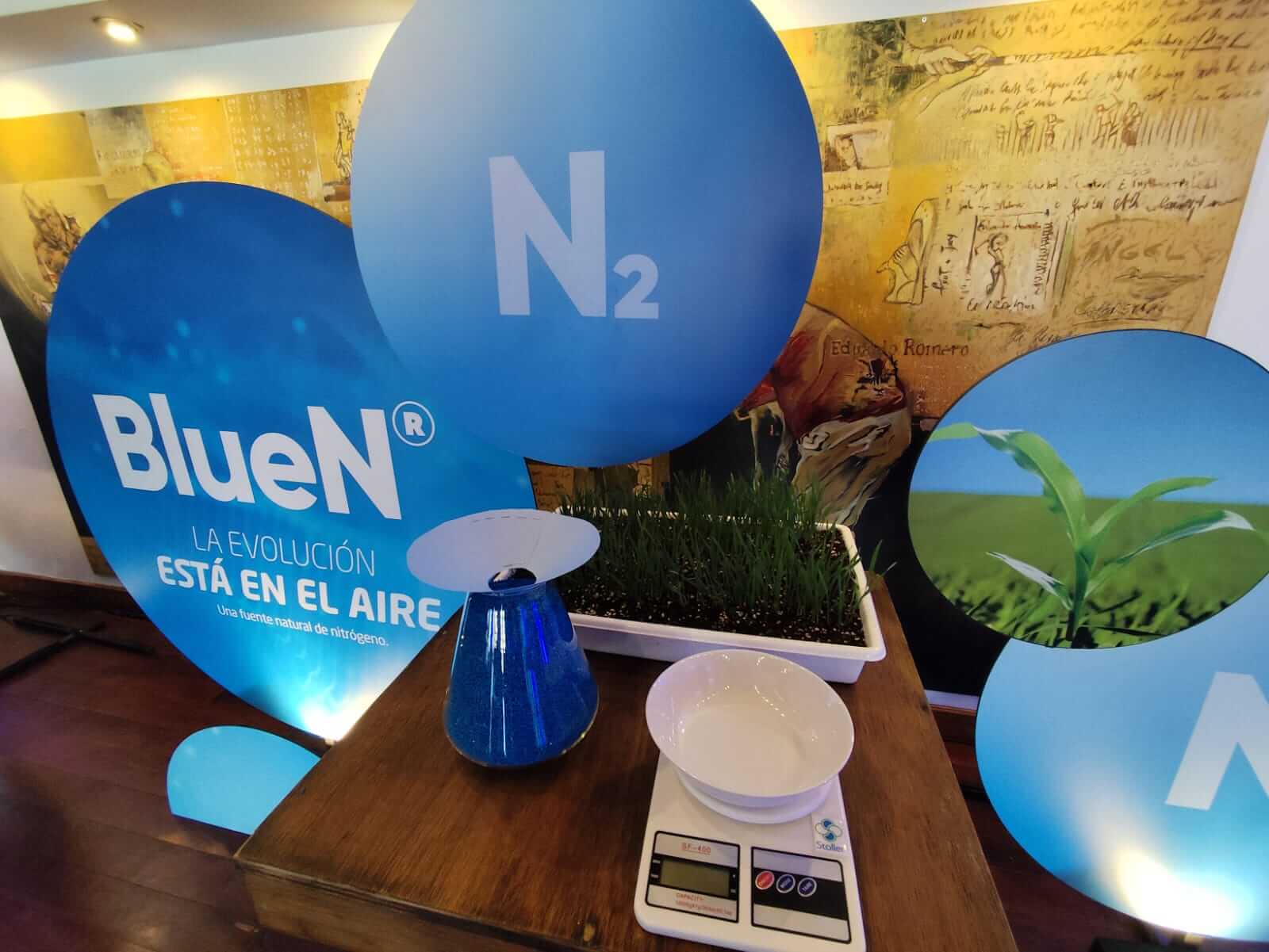 bluen lanzamiento