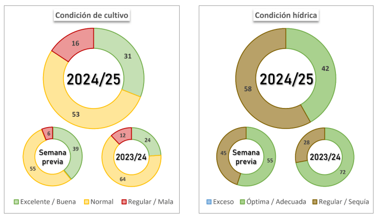 condicion trigo