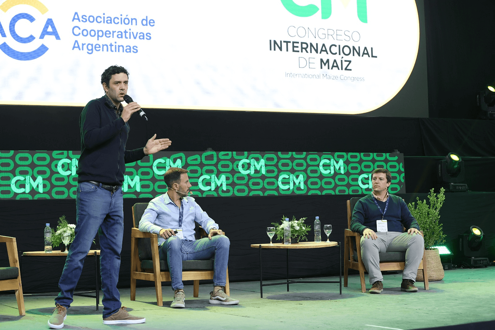 segundo panel chicharrita