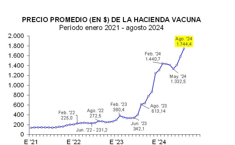 ciccra 1