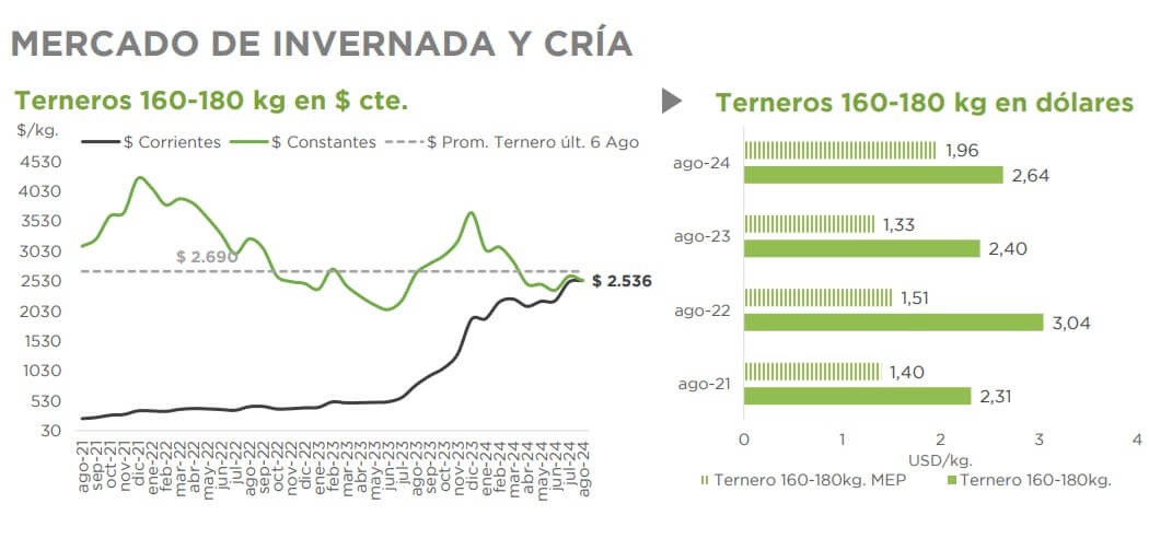 ternero dolar