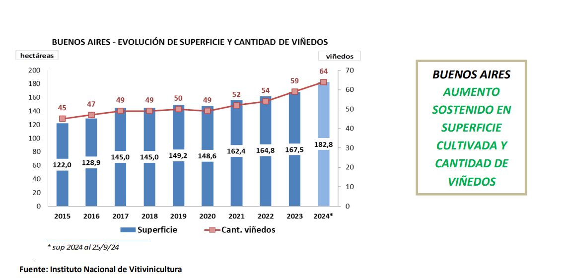 Buenos aires evolucion de superficie