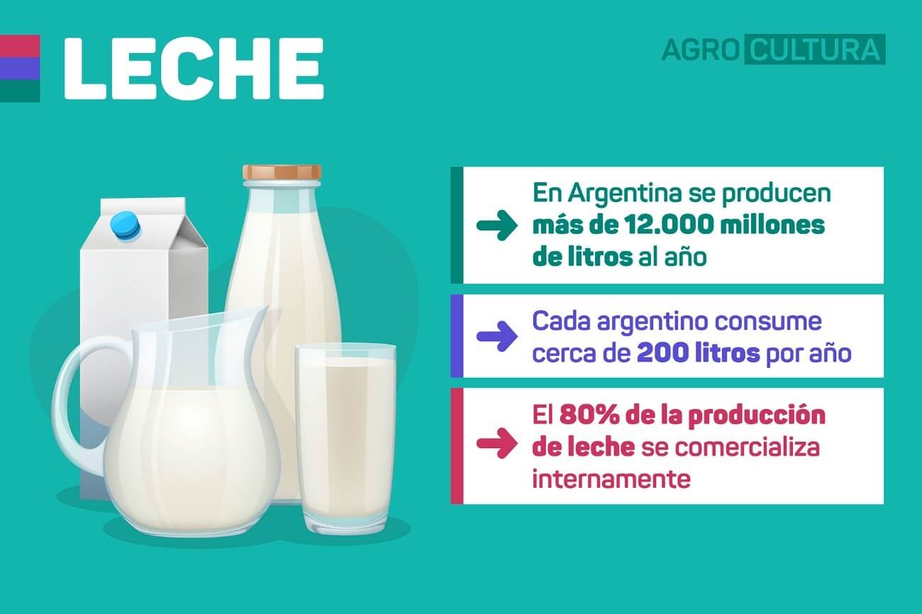 consumo leche