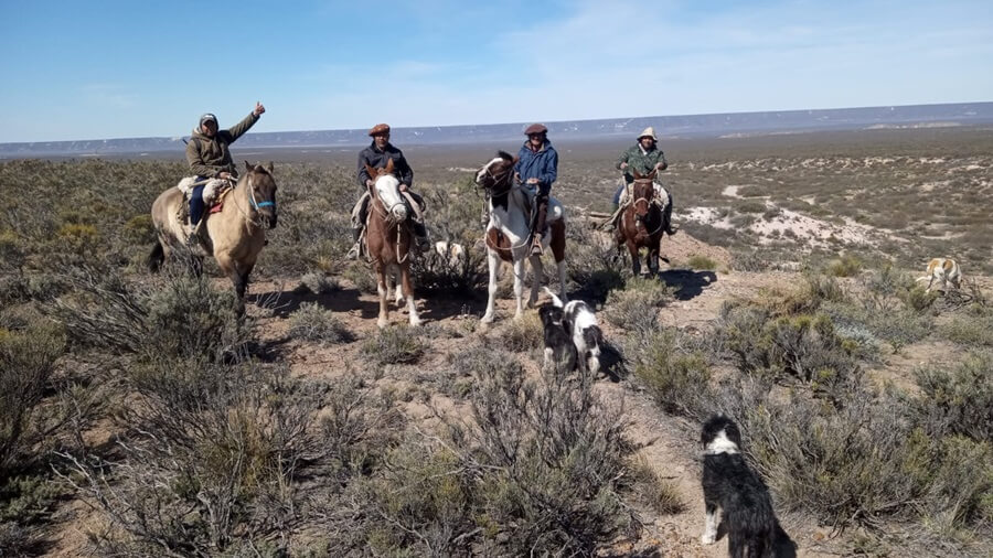 gauchos a caballo