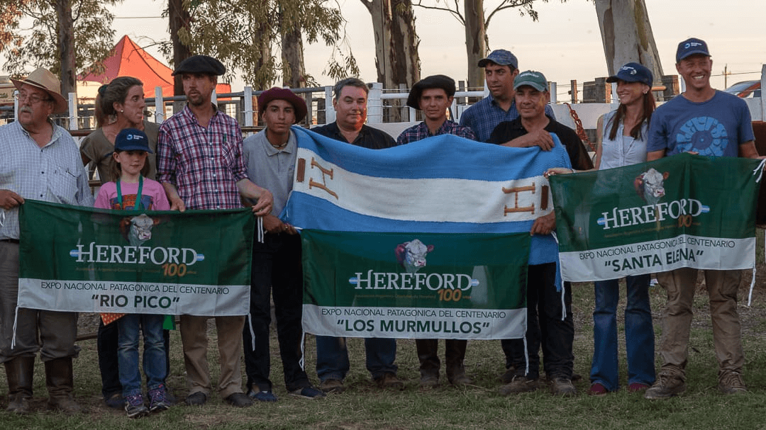 hereford ganadores