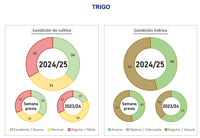 trigo grafico