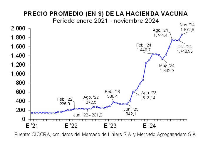 ciccra 1