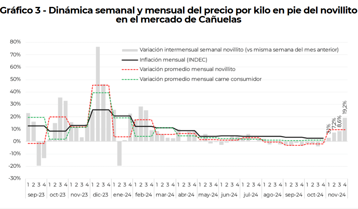 precio carne ieral evolucion