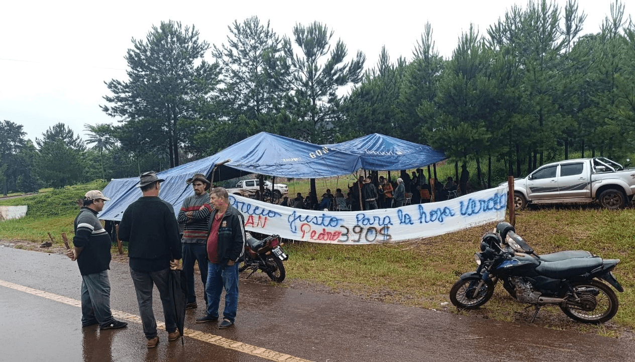 protesta yerba mate misiones