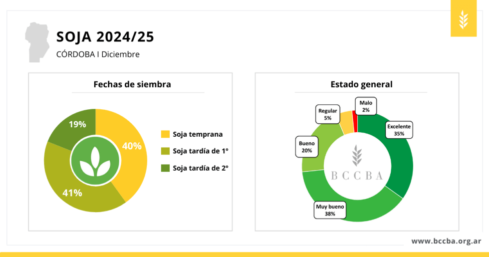 soja 2