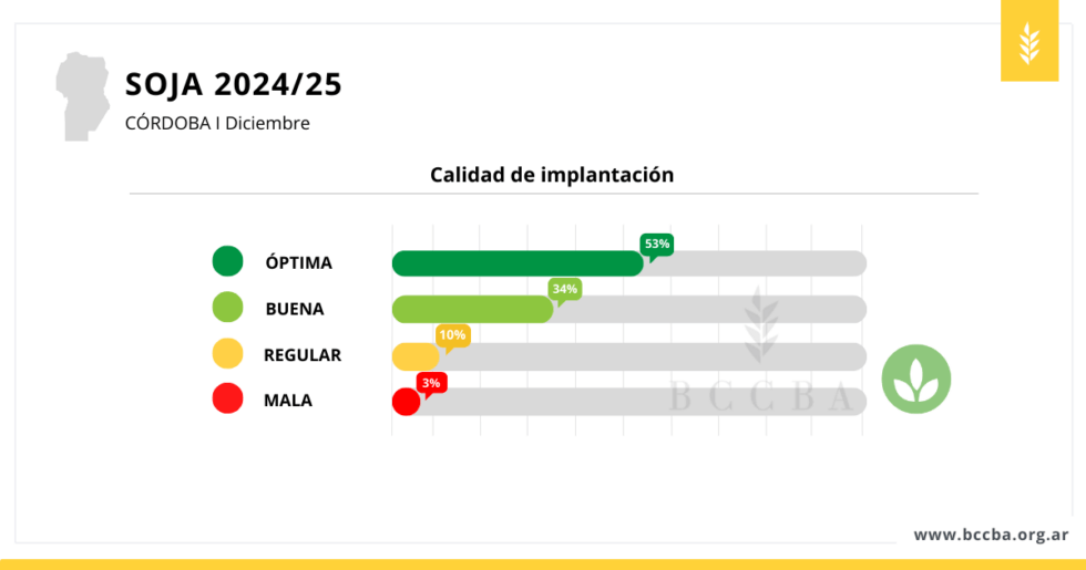 soja 3