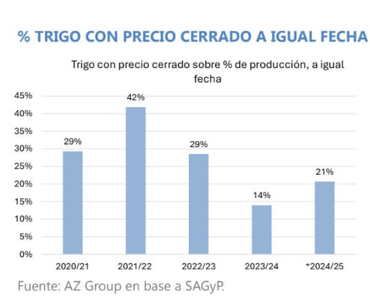 trigo