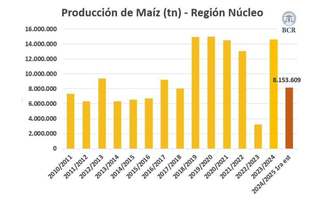 BCR maiz 1