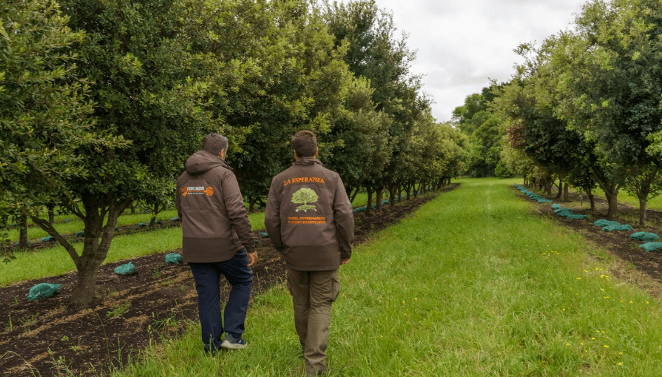 trufas la esperanza lionel