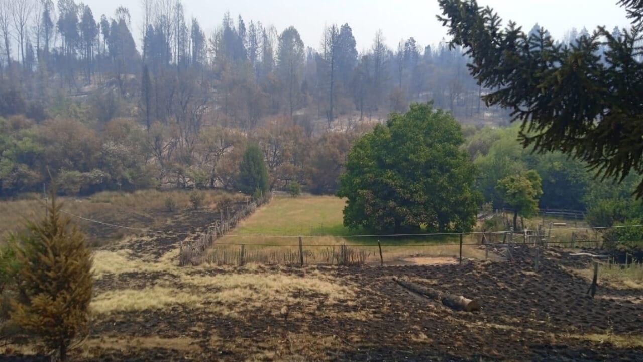 Incendios 1