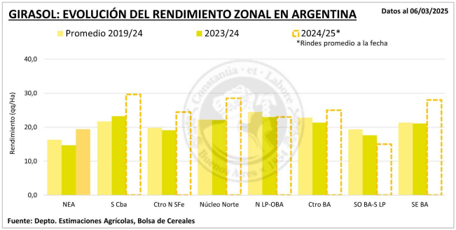 girasol avance cosecha